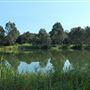 118 Green Camp Rd