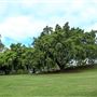 Anzac Park