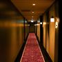 Hotel X