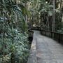 Buderim Forest Park