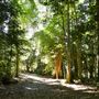 Property Mt Tamborine