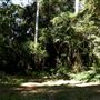 Palm Grove Property