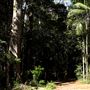 Palm Grove Property