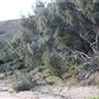 Kemp Beach and Bluff Point Scenic Walk