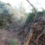 Kemp Beach and Bluff Point Scenic Walk