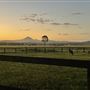 Allenview