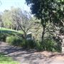 Victoria Park/Barrambin