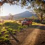 Barney Creek Vineyard Cottages