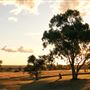 Jimbour House - Heritage-listed Homestead