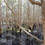 Gold Coast - Coombabah Lakelands