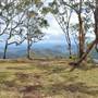 Stockyard Creek