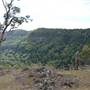 Stockyard Creek