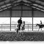 Fenwick Farm
