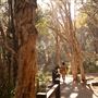 Noosa National Park