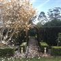 Tamborine Mountain Flower Farm
