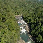 Johnstone River (Cairns Region)