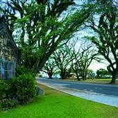 St David's Anglican Church