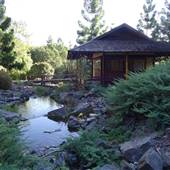 Nerima Gardens - Ipswich