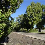 Queens Park