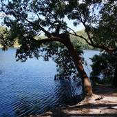 Minjeeribah (North Stradbroke Island) - Blue Lake