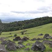 Rolling Hills & Rural Valley Road
