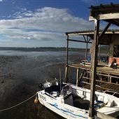 Remote Island Hideaway - Mudflats