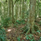 Hallorans Hill Conservation Park