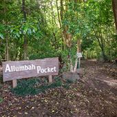 Peterson Creek Wildlife & Botanical Walking Track