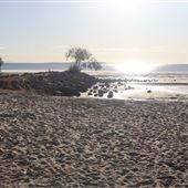 Pandanus Beach