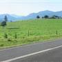 Mountain Road with Views