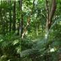 Cairns Region - Bramston Beach