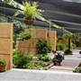 Mt Coot-tha Botanical Gardens