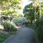 Mt Coot-tha Botanical Gardens