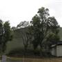 Caboolture Airport Hangars
