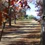 Cedar Glen Farmstay