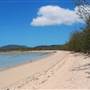 Dingo Beach
