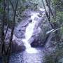 Whitsundays - Finch Hatton Gorge