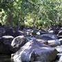Whitsundays - Finch Hatton Gorge