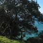 Frenchman's Bay (North Stradbroke Island)