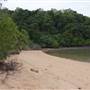 Garden Island