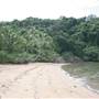 Garden Island