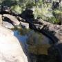 Warwick Region - Girraween National Park