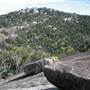 Warwick Region - Girraween National Park