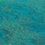 Hardy Reef