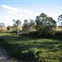 Kilcoy Road Bridge