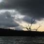 Lake Tinaroo
