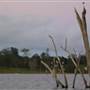 Lake Tinaroo