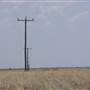 Longreach Landscape