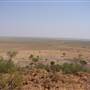 Longreach Landscape