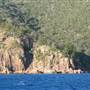 Hayman Island Resort
